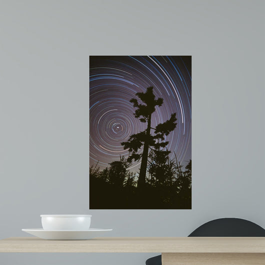 Polaris Pine Wall Decal