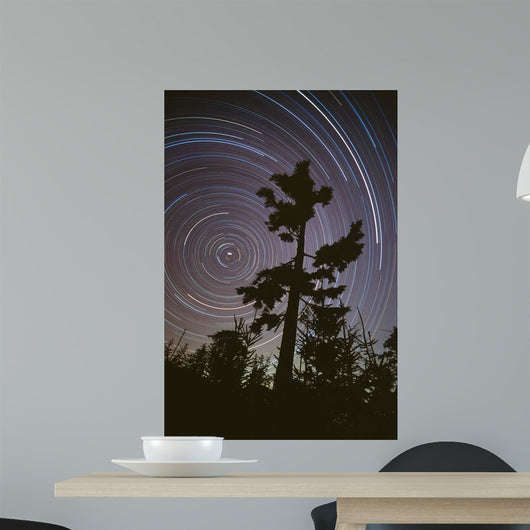 Polaris Pine Wall Decal
