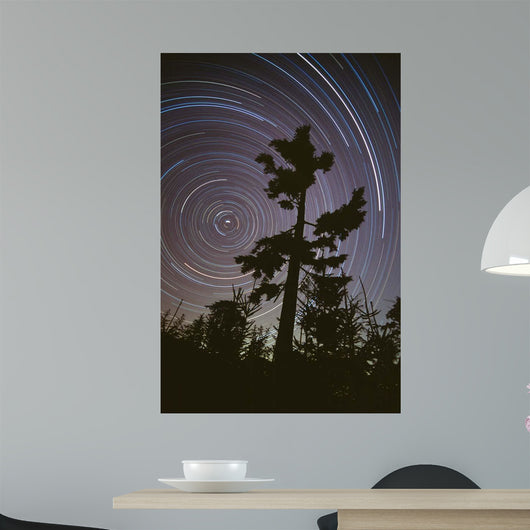 Polaris Pine Wall Decal