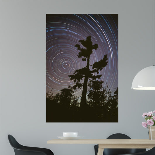 Polaris Pine Wall Decal