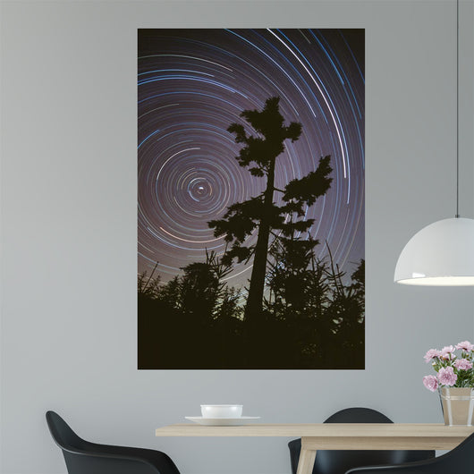 Polaris Pine Wall Decal
