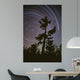 Polaris Pine Wall Decal