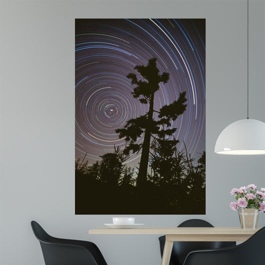 Polaris Pine Wall Decal