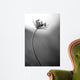 Queen Anne's B W Wall Decal