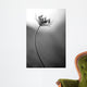 Queen Anne's B W Wall Decal