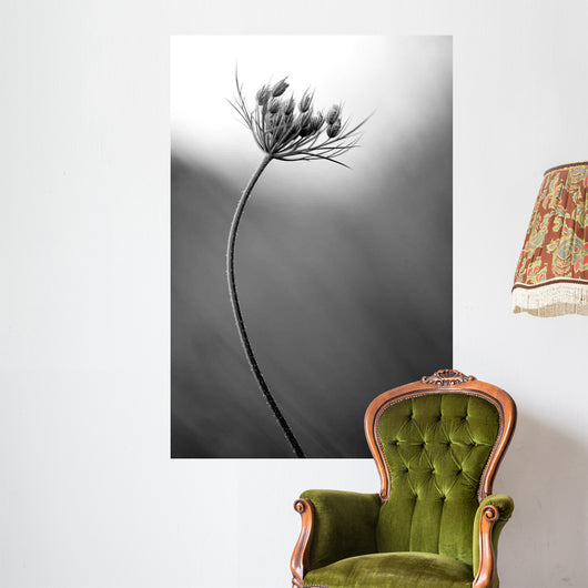 Queen Anne's B W Wall Decal