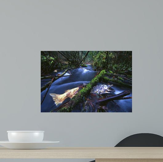 Salmon Trapped Wall Decal
