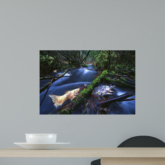 Salmon Trapped Wall Decal