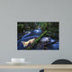 Salmon Trapped Wall Decal