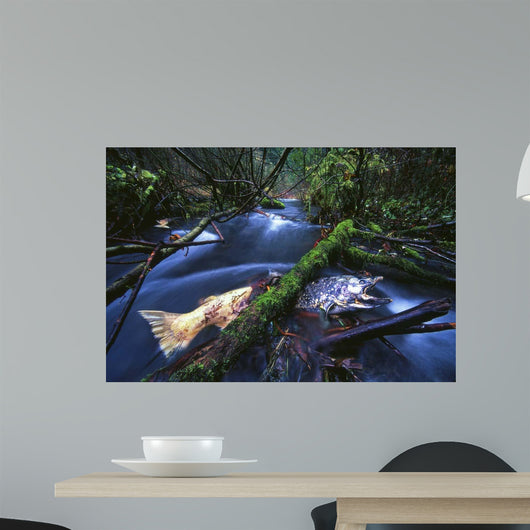 Salmon Trapped Wall Decal