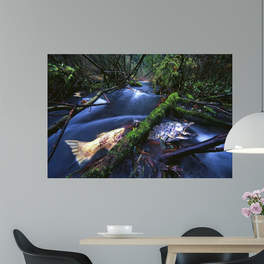 Salmon Trapped Wall Decal