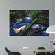 Salmon Trapped Wall Decal