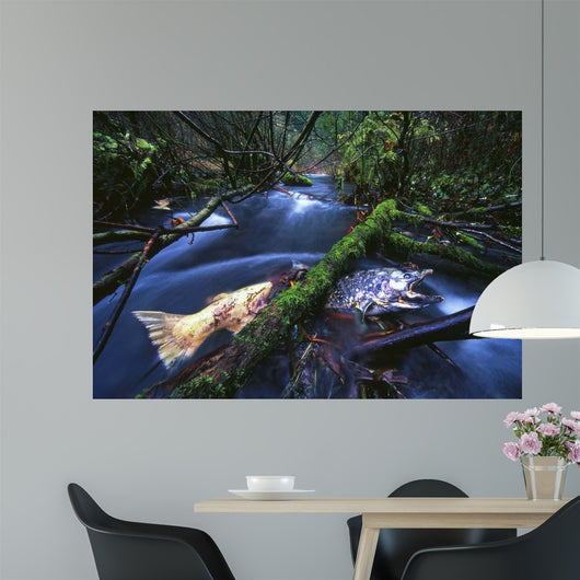 Salmon Trapped Wall Decal