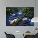 Salmon Trapped Wall Decal