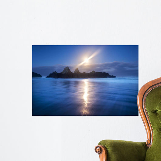 Seal Rock Vert Moon Wall Decal