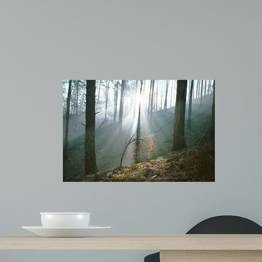 Smoke Forest Wall Decal