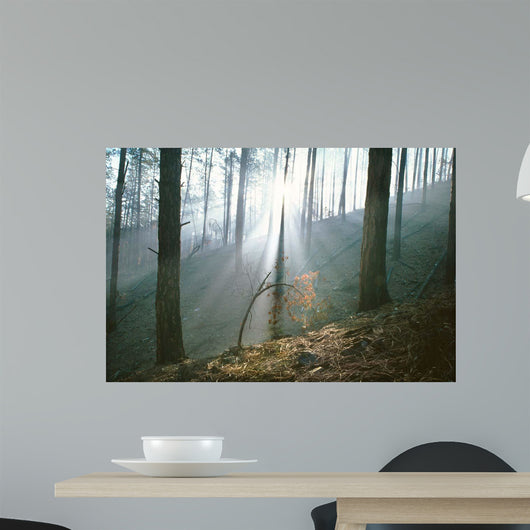 Smoke Forest Wall Decal