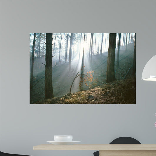 Smoke Forest Wall Decal
