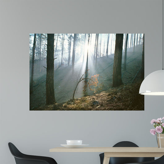 Smoke Forest Wall Decal