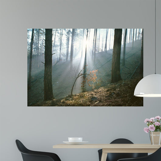 Smoke Forest Wall Decal