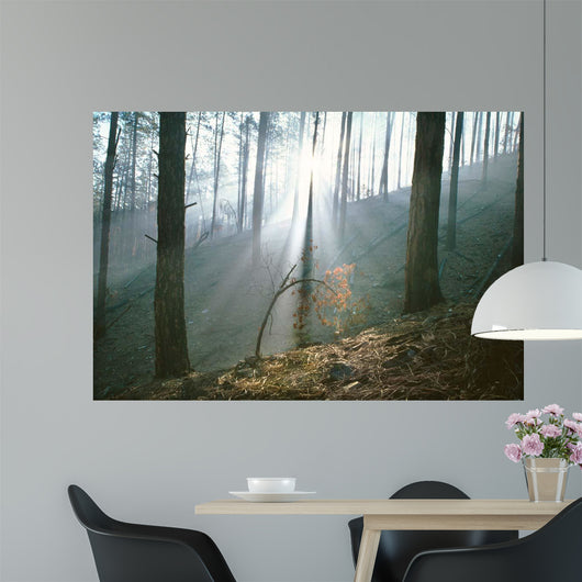 Smoke Forest Wall Decal