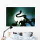 Snake Sun Wall Decal