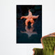Starfish Reflection 2 Wall Decal