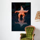 Starfish Reflection 2 Wall Decal