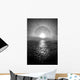 Sun Halo Streak Silver Wall Decal