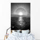 Sun Halo Streak Silver Wall Decal