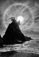Sun Halo 2 Proc Wall Decal