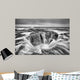 Thors Well B W Wall Decal