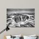 Thors Well B W Wall Decal