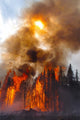 Torching Wall Decal