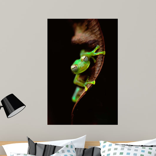 Frog Portrait Wall Decal