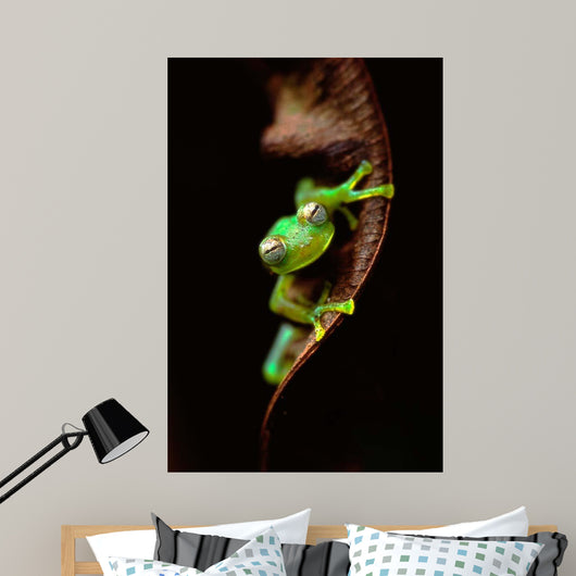 Frog Portrait Wall Decal