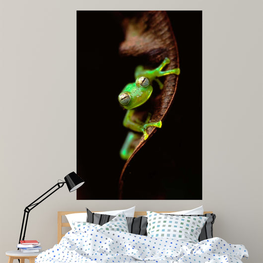 Frog Portrait Wall Decal