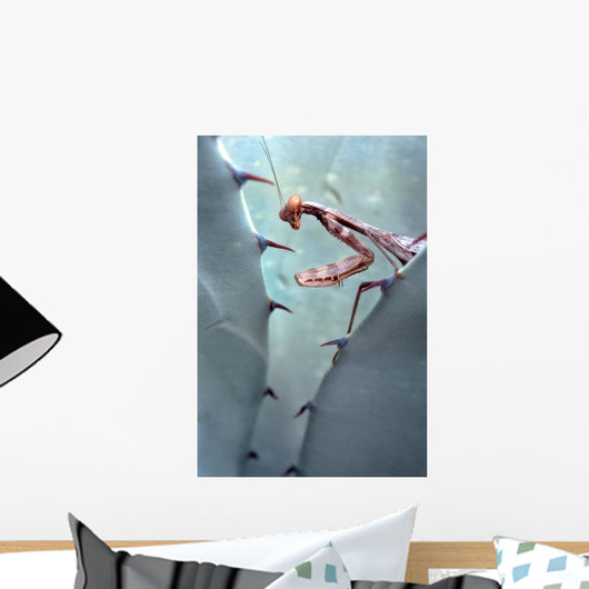 Mantis Agave Wall Decal