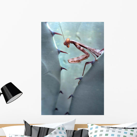 Mantis Agave Wall Decal