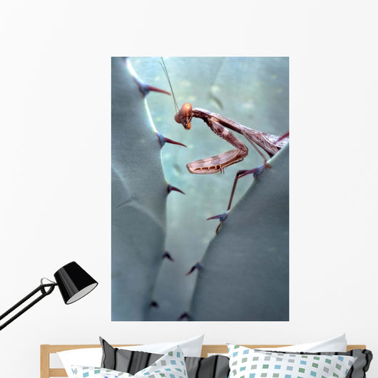 Mantis Agave Wall Decal