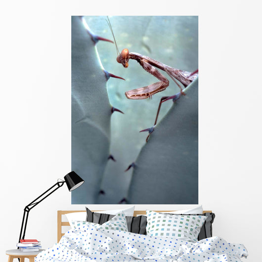 Mantis Agave Wall Decal