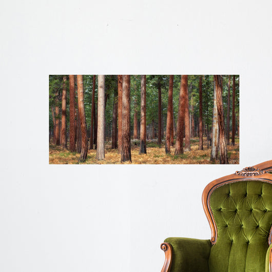 Ponderosa Trunks Wall Decal