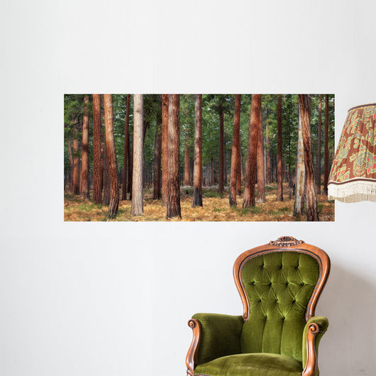 Ponderosa Trunks Wall Decal