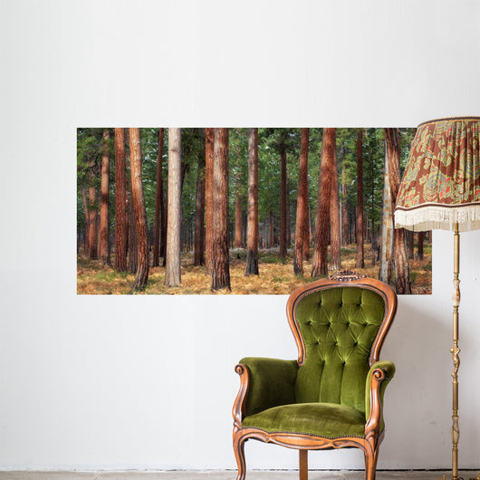 Ponderosa Trunks Wall Decal