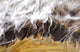 Receding Wave Wall Decal