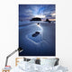 Reflection Whale Head Wall Decal