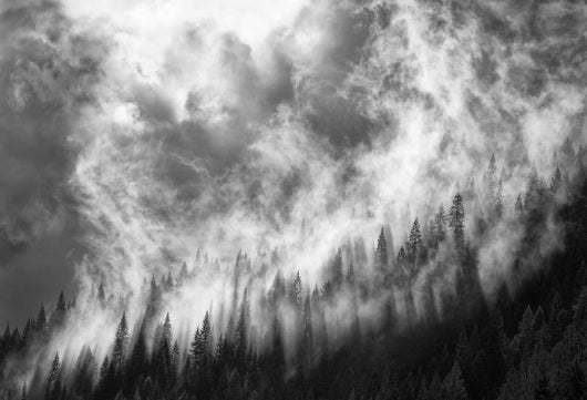 Rising Mist 3 Wall Decal