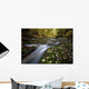 Rushing Best Wall Decal