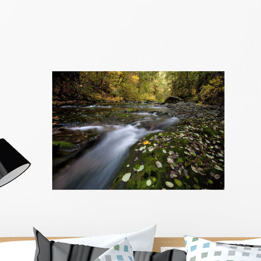 Rushing Best Wall Decal