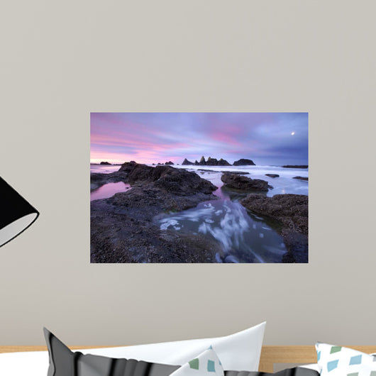 Seal Rock Colors Wall Decal